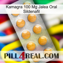 Kamagra 100 Mg Oral Jelly Sildenafil levitra1